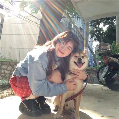 菜鸟老警第一季